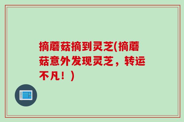 摘蘑菇摘到灵芝(摘蘑菇意外发现灵芝，转运不凡！)