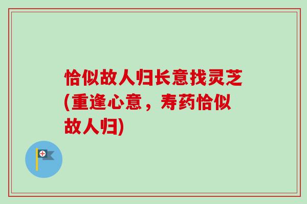 恰似故人归长意找灵芝(重逢心意，寿药恰似故人归)