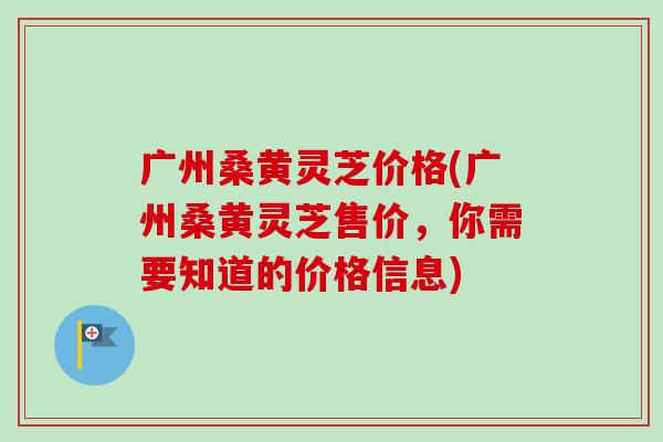 广州桑黄灵芝价格(广州桑黄灵芝售价，你需要知道的价格信息)