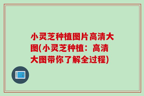 小灵芝种植图片高清大图(小灵芝种植：高清大图带你了解全过程)