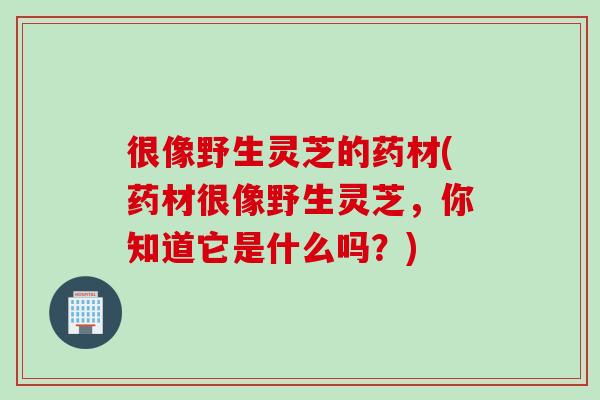 很像野生灵芝的药材(药材很像野生灵芝，你知道它是什么吗？)
