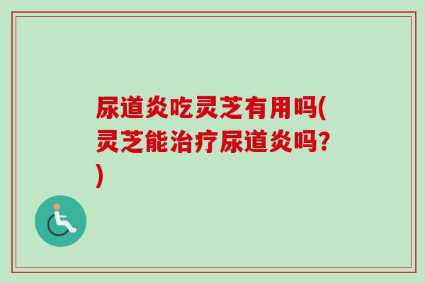 尿道炎吃灵芝有用吗(灵芝能尿道炎吗?) 尿道炎吃灵芝有用吗(灵芝能尿道炎吗?)