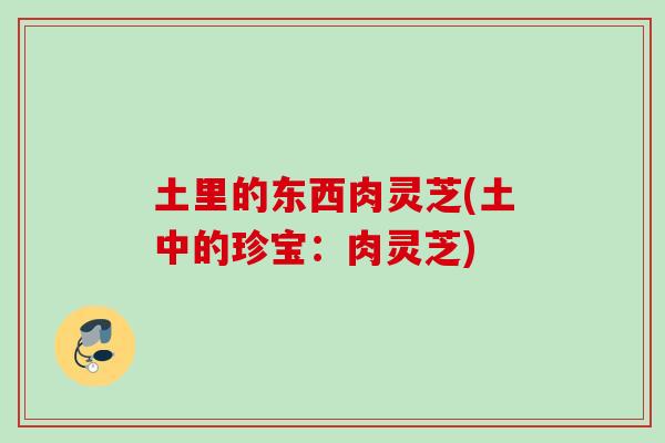 土里的东西肉灵芝(土中的珍宝：肉灵芝)