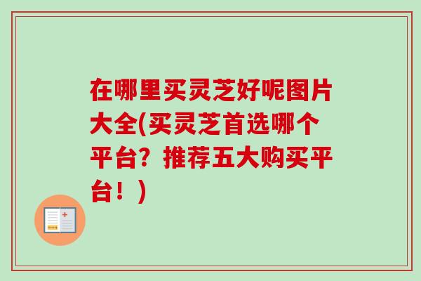 在哪里买灵芝好呢图片大全(买灵芝首选哪个平台？推荐五大购买平台！)