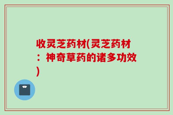 收灵芝药材(灵芝药材：神奇草药的诸多功效)