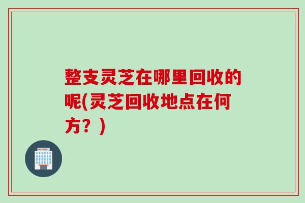 整支灵芝在哪里回收的呢(灵芝回收地点在何方？)