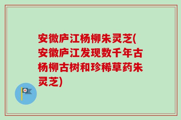 安微庐江杨柳朱灵芝(安徽庐江发现数千年古杨柳古树和珍稀草药朱灵芝)