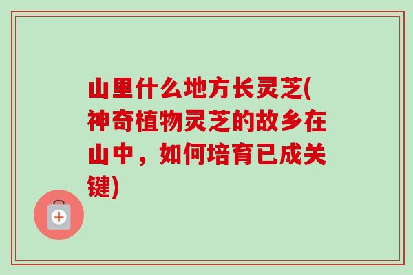 山里什么地方长灵芝(神奇植物灵芝的故乡在山中，如何培育已成关键)