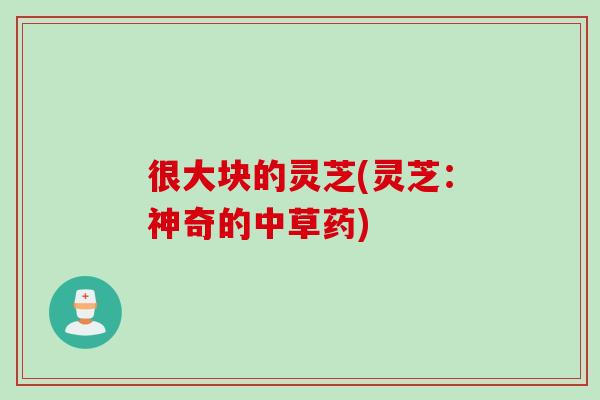 很大块的灵芝(灵芝:神奇的中草药) 很大块的灵芝(灵芝:神奇的中草药)
