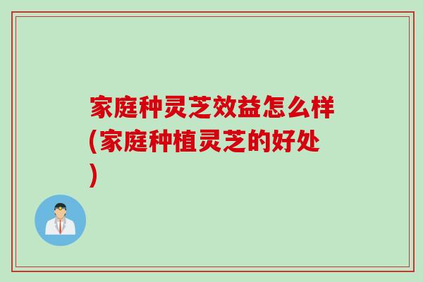 家庭种灵芝效益怎么样(家庭种植灵芝的好处)