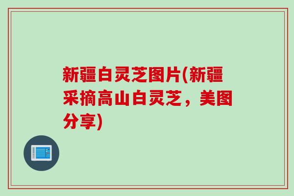 新疆白灵芝图片(新疆采摘高山白灵芝，美图分享)