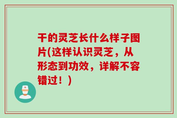 干的灵芝长什么样子图片(这样认识灵芝,从形态到功效,详解不容错过!) 干的灵芝长什么样子图片(这样认识灵芝,从形态到功效,详解不容错过!)
