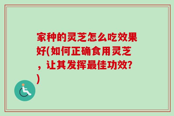 家种的灵芝怎么吃效果好(如何正确食用灵芝，让其发挥最佳功效？)