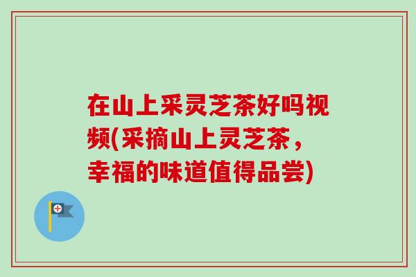 在山上采灵芝茶好吗视频(采摘山上灵芝茶，幸福的味道值得品尝)