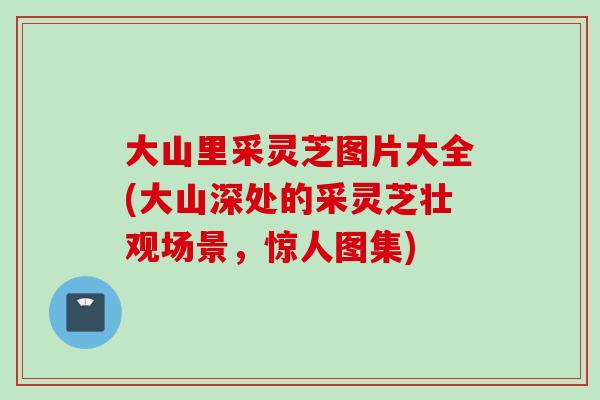大山里采灵芝图片大全(大山深处的采灵芝壮观场景，惊人图集)