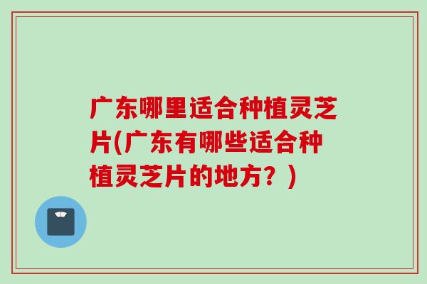 广东哪里适合种植灵芝片(广东有哪些适合种植灵芝片的地方？)