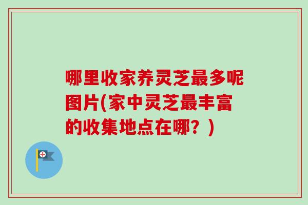 哪里收家养灵芝最多呢图片(家中灵芝最丰富的收集地点在哪？)