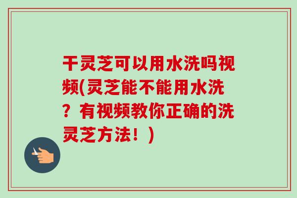 干灵芝可以用水洗吗视频(灵芝能不能用水洗？有视频教你正确的洗灵芝方法！)