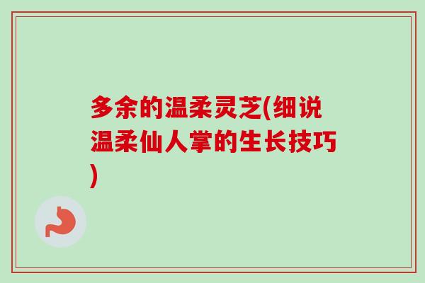多余的温柔灵芝(细说温柔仙人掌的生长技巧)