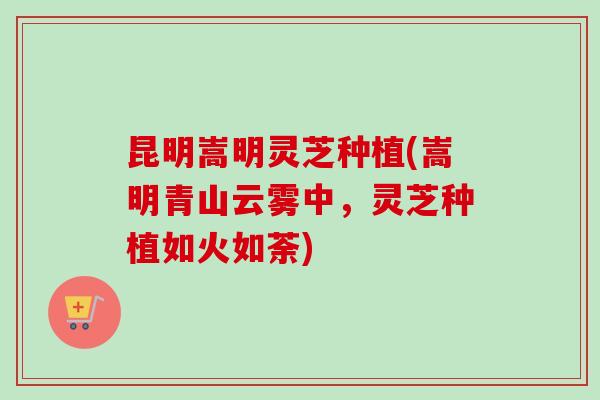 昆明嵩明灵芝种植(嵩明青山云雾中，灵芝种植如火如荼)