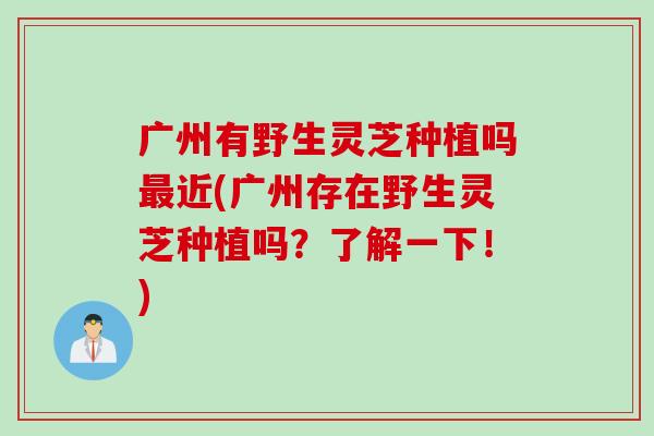 广州有野生灵芝种植吗近(广州存在野生灵芝种植吗?了解一下!) 广州有野生灵芝种植吗近(广州存在野生灵芝种植吗?了解一下!)