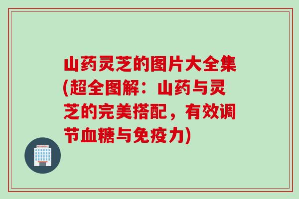 山药灵芝的图片大全集(超全图解：山药与灵芝的完美搭配，有效调节血糖与免疫力)