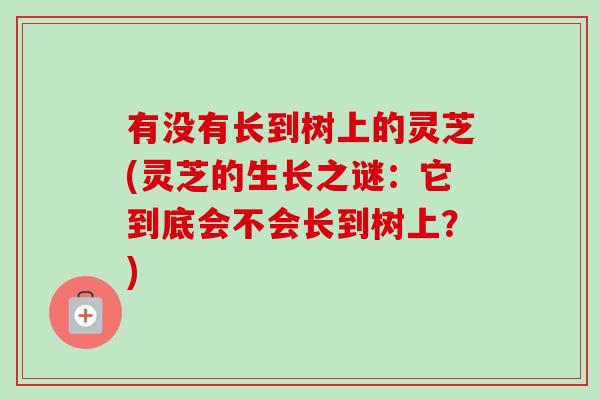 有没有长到树上的灵芝(灵芝的生长之谜：它到底会不会长到树上？)