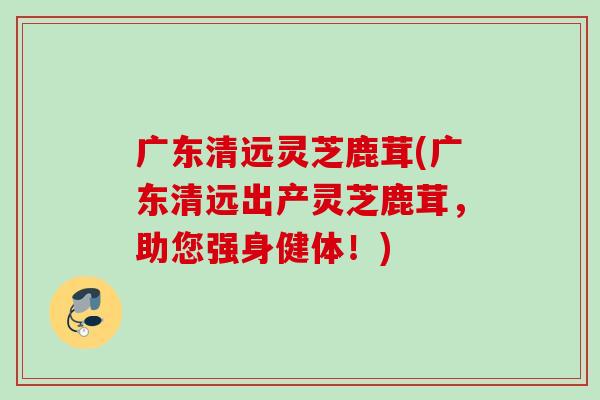 广东清远灵芝鹿茸(广东清远出产灵芝鹿茸,助您强身健体!) 广东清远灵芝鹿茸(广东清远出产灵芝鹿茸,助您强身健体!)