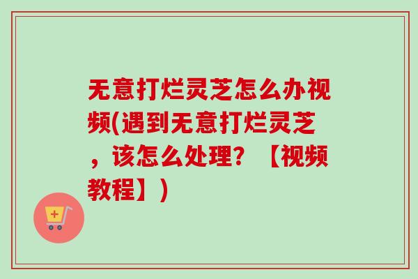 无意打烂灵芝怎么办视频(遇到无意打烂灵芝，该怎么处理？【视频教程】)