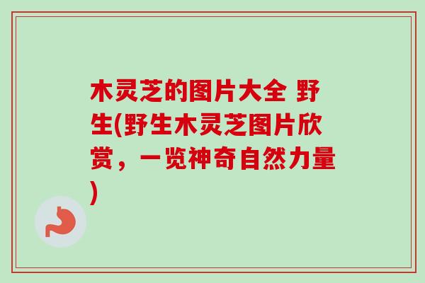 木灵芝的图片大全 野生(野生木灵芝图片欣赏，一览神奇自然力量)