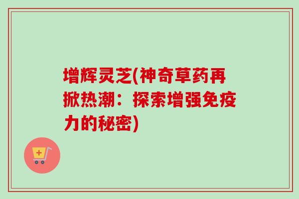 增辉灵芝(神奇草药再掀热潮：探索增强免疫力的秘密)