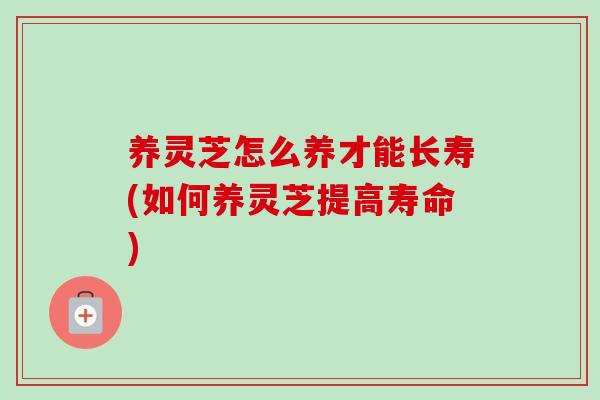 养灵芝怎么养才能长寿(如何养灵芝提高寿命)