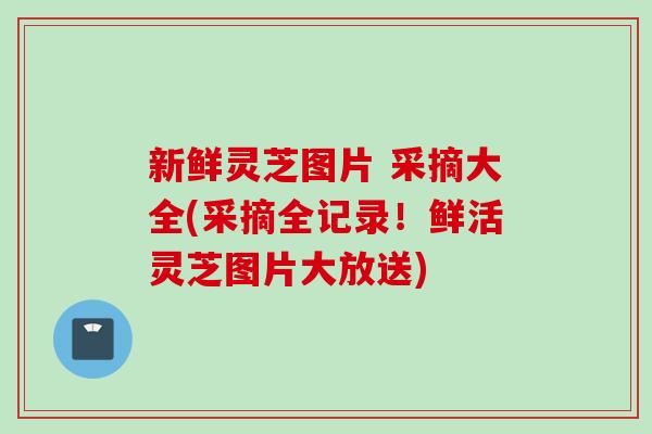 新鲜灵芝图片 采摘大全(采摘全记录！鲜活灵芝图片大放送)