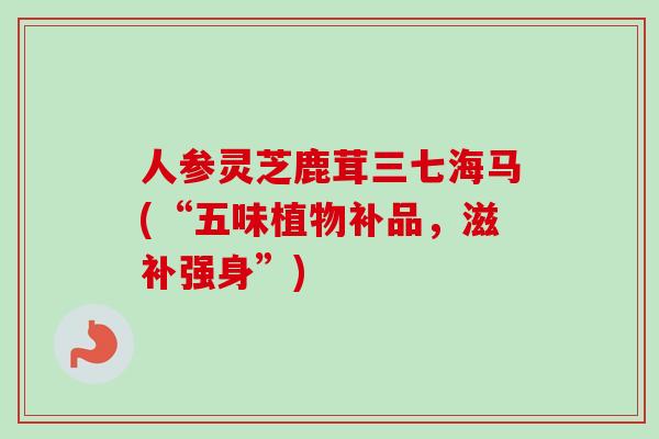 人参灵芝鹿茸三七海马(“五味植物补品，滋补强身”)