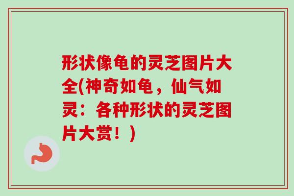 形状像龟的灵芝图片大全(神奇如龟，仙气如灵：各种形状的灵芝图片大赏！)