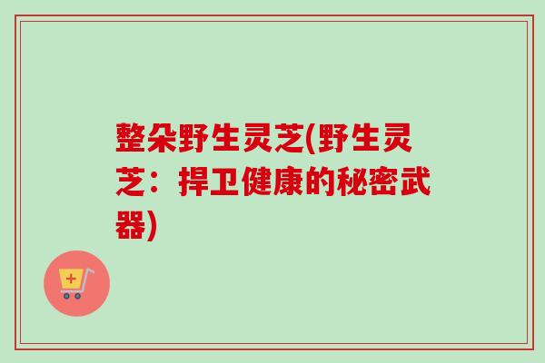 整朵野生灵芝(野生灵芝：捍卫健康的秘密武器)