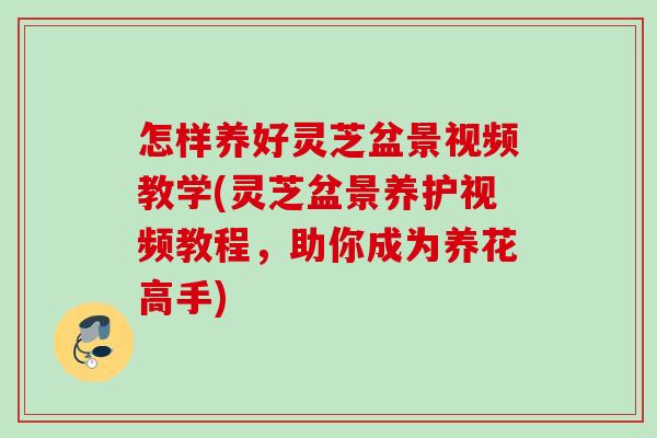 怎样养好灵芝盆景视频教学(灵芝盆景养护视频教程，助你成为养花高手)