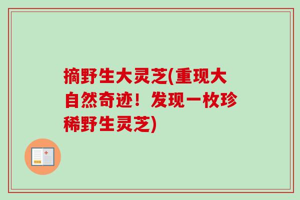 摘野生大灵芝(重现大自然奇迹！发现一枚珍稀野生灵芝)