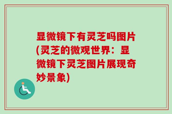 显微镜下有灵芝吗图片(灵芝的微观世界：显微镜下灵芝图片展现奇妙景象)