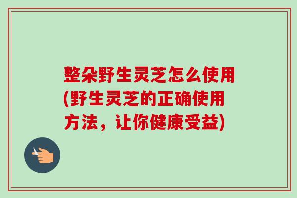 整朵野生灵芝怎么使用(野生灵芝的正确使用方法,让你健康受益) 整朵野生灵芝怎么使用(野生灵芝的正确使用方法,让你健康受益)