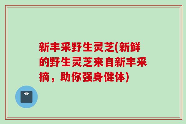 新丰采野生灵芝(新鲜的野生灵芝来自新丰采摘，助你强身健体)