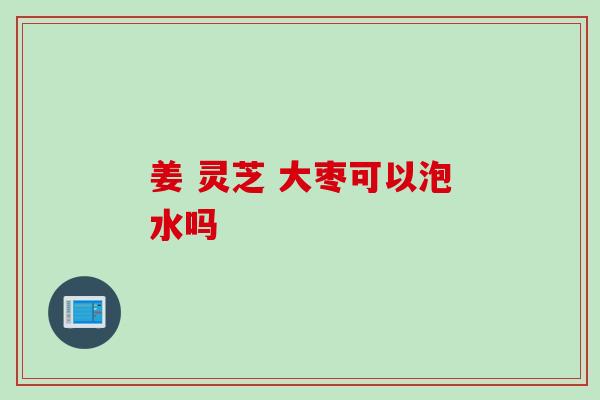 姜 灵芝 大枣可以泡水吗