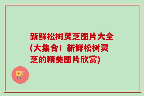 新鲜松树灵芝图片大全(大集合！新鲜松树灵芝的精美图片欣赏)