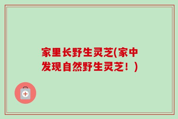 家里长野生灵芝(家中发现自然野生灵芝！)