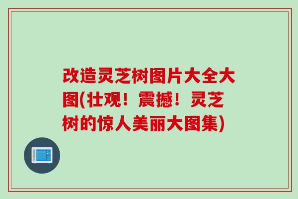 改造灵芝树图片大全大图(壮观！震撼！灵芝树的惊人美丽大图集)