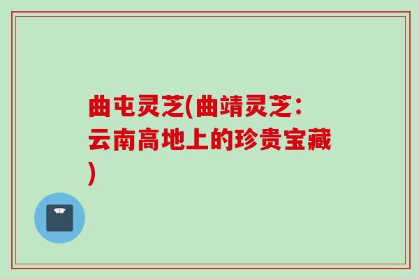 曲屯灵芝(曲靖灵芝：云南高地上的珍贵宝藏)