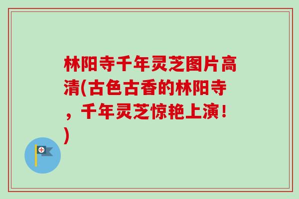 林阳寺千年灵芝图片高清(古色古香的林阳寺，千年灵芝惊艳上演！)
