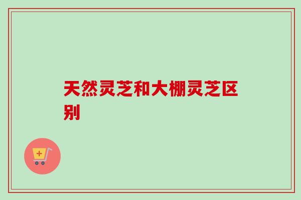 天然灵芝和大棚灵芝区别