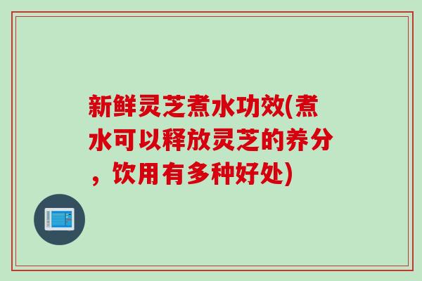 新鲜灵芝煮水功效(煮水可以释放灵芝的养分，饮用有多种好处)