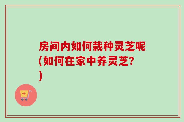 房间内如何栽种灵芝呢(如何在家中养灵芝？)